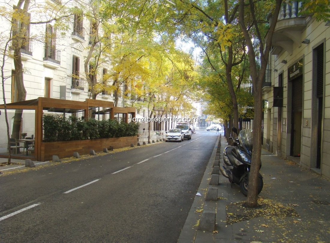 Apartment in Barrio Salamanca, Madrid, Spain 2 - 18329971