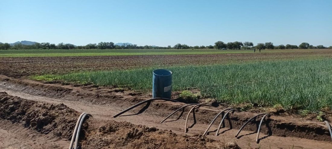 Land in Hermosillo, Sonora, Mexico 5 - 18328281