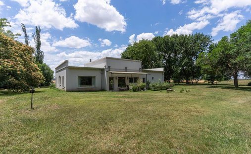 Farm Ranch in San Antonio de Areco, Buenos Aires Province, Argentina 1