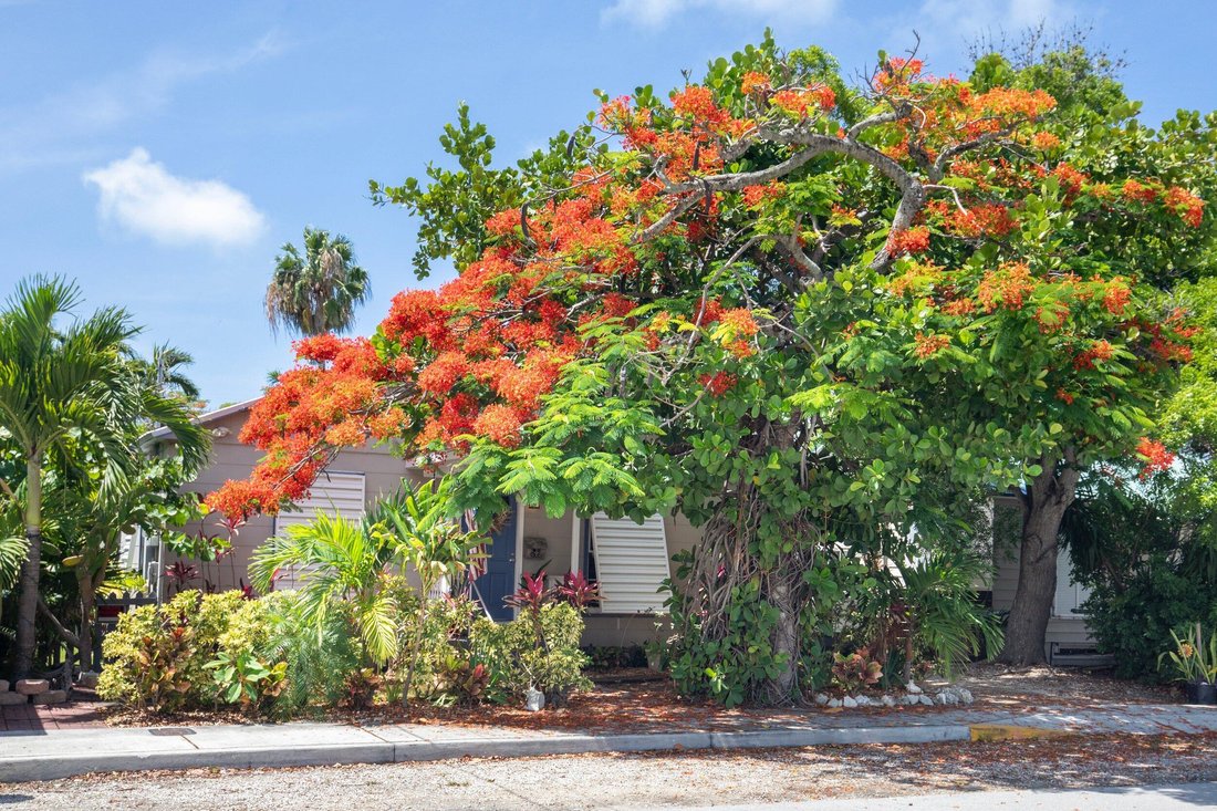 House in Key West, Florida, United States 1 - 18329048