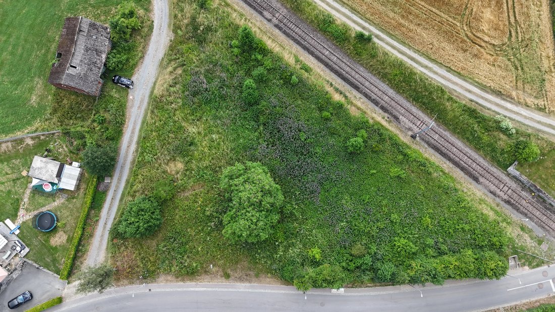 Land in Troisvierges, Clervaux, Luxembourg 2 - 18332004