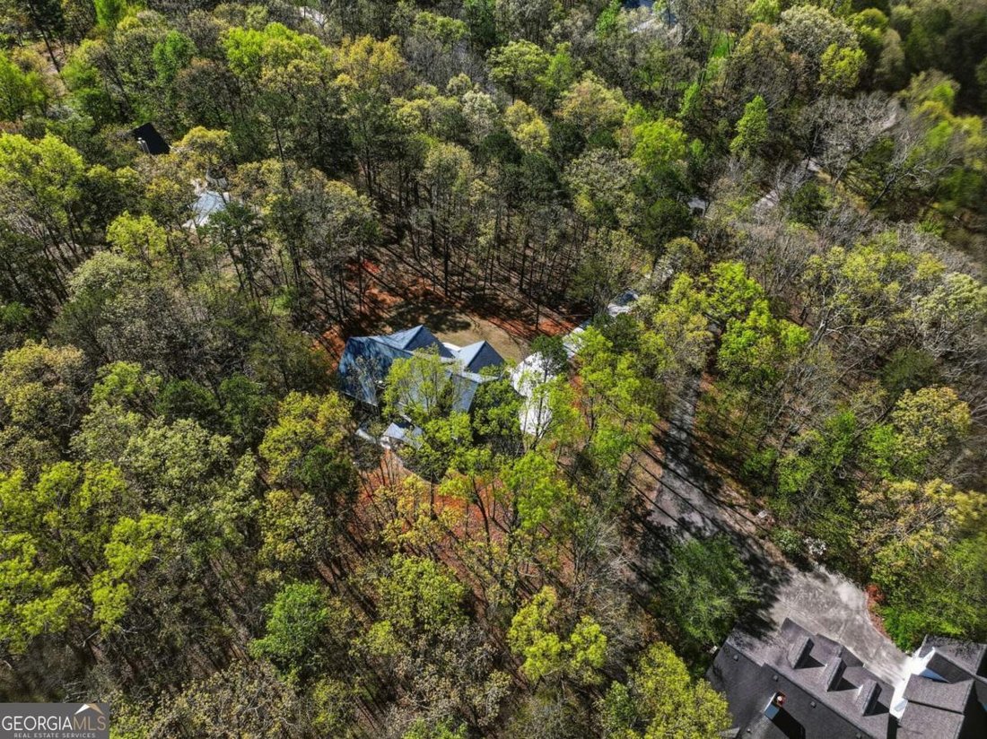House in Cumming, Georgia, United States 5 - 18331031