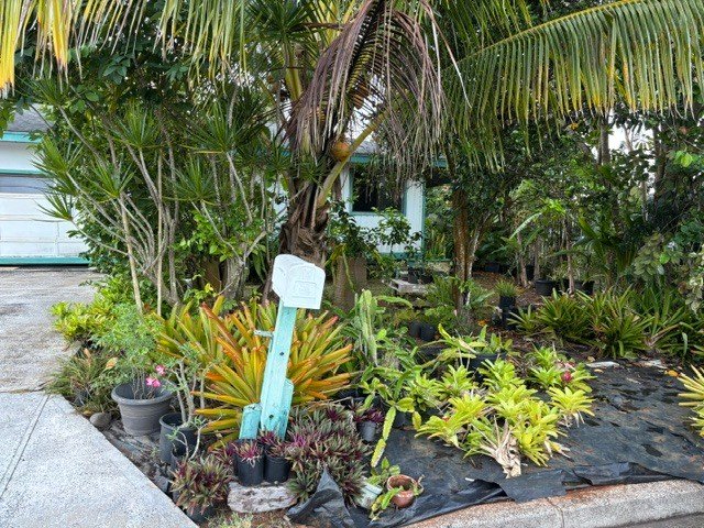 House in Kapaʻa, Hawaii, United States 3 - 18329781