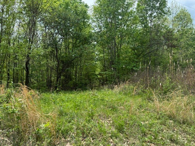 Land in Bumpus Mills, Tennessee, United States 4 - 18332052