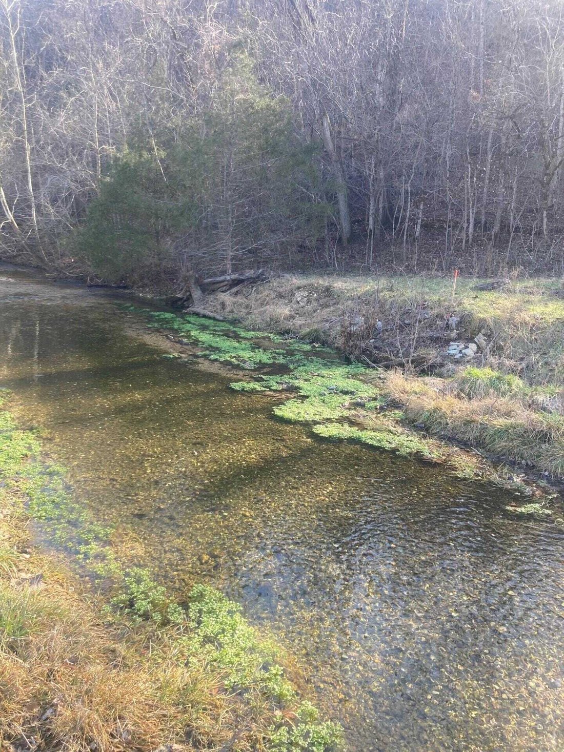 Land in Branson West, Missouri, United States 3 - 17353583