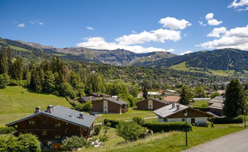 Chalet in Demi-Quartier, Auvergne-Rhone-Alpen, Frankreich 1