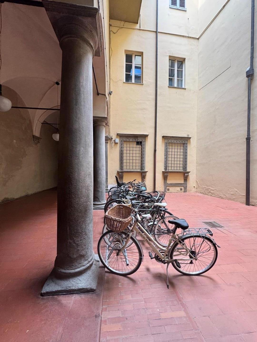 Apartment in Historic Center, Lucca, Tuscany 3 - 18330714