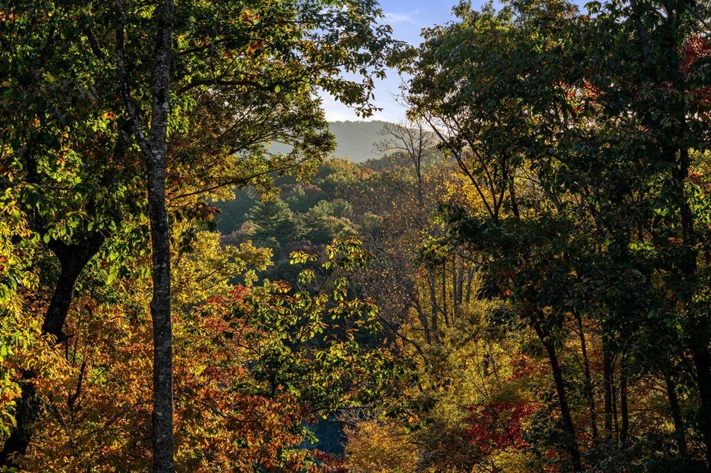 House in Morganton, Georgia, United States 3 - 18329385