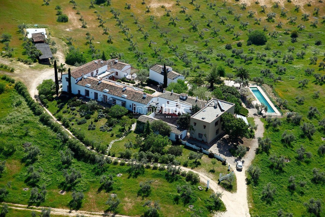 Finca in Calzada de Oropesa, Castile-La Mancha, Spain 3 - 18329758