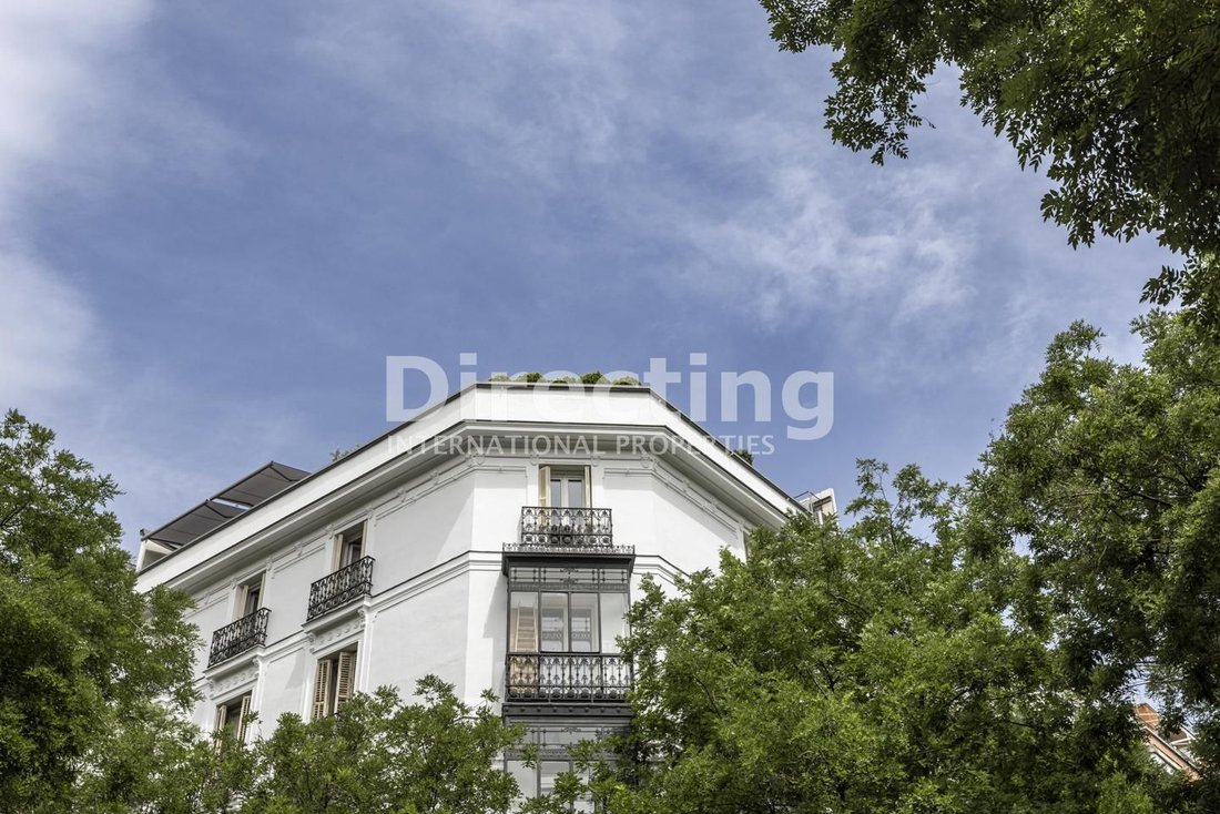 Apartment in Barrio Salamanca, Madrid, Spain 5 - 18329582