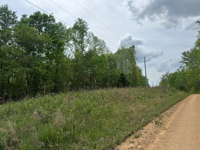 Land in Bumpus Mills, Tennessee, United States 2 - 18332052