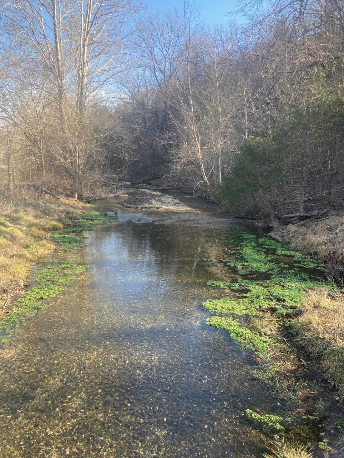 Land in Branson West, Missouri, United States 2 - 17353583