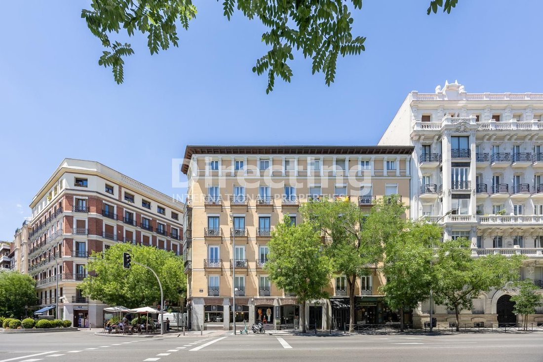 Apartment in Barrio Salamanca, Madrid, Spain 3 - 18329681