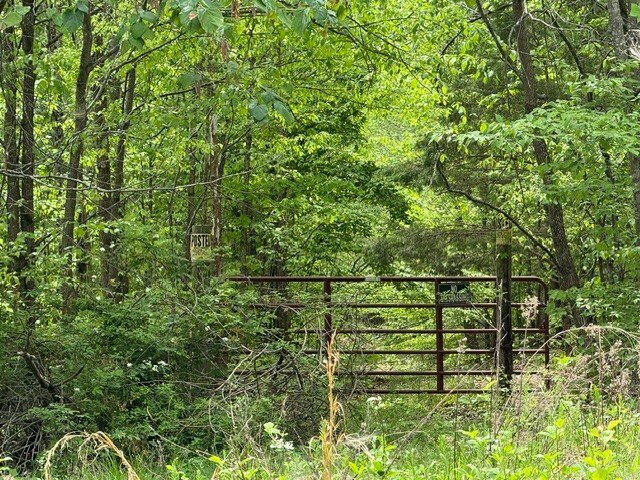 Land in Bumpus Mills, Tennessee, United States 3 - 18332052