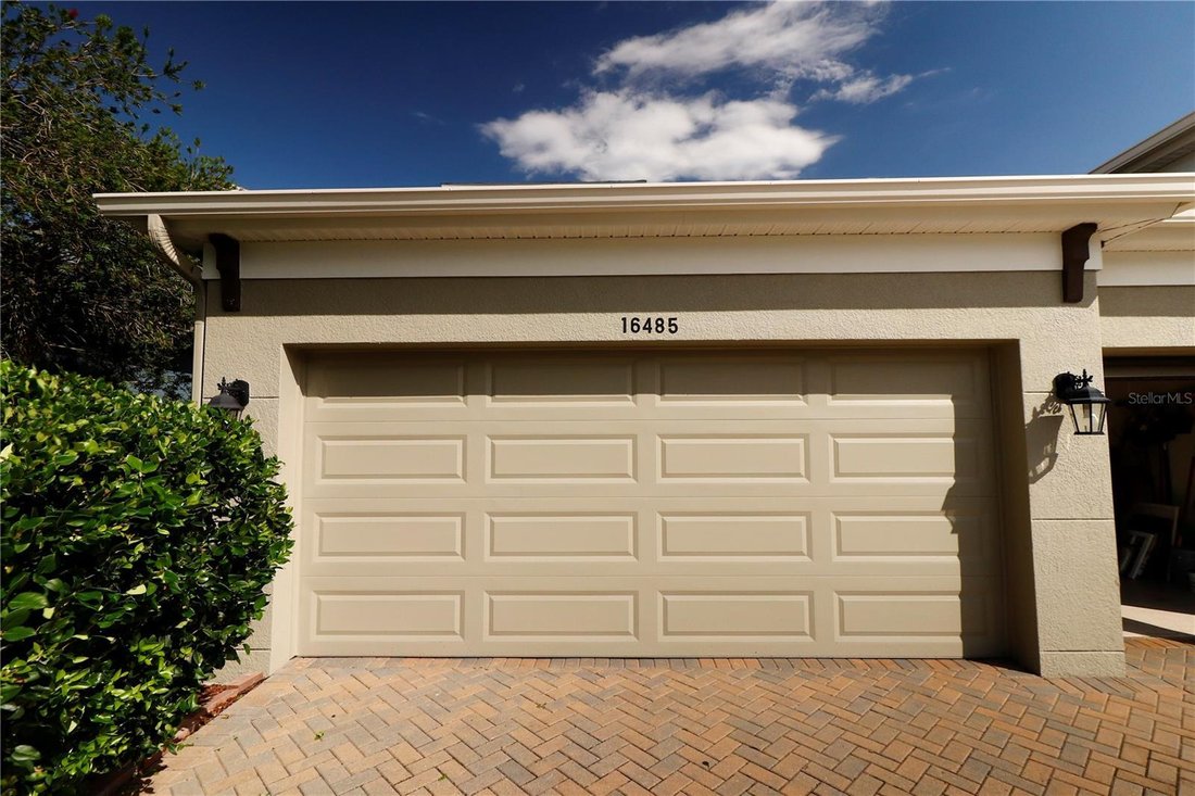 House in Land O' Lakes, Florida, United States 3 - 18330702