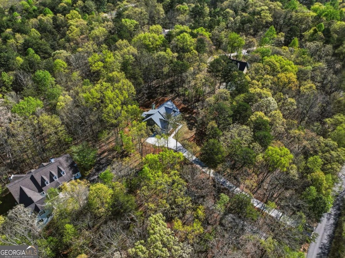 House in Cumming, Georgia, United States 4 - 18331031