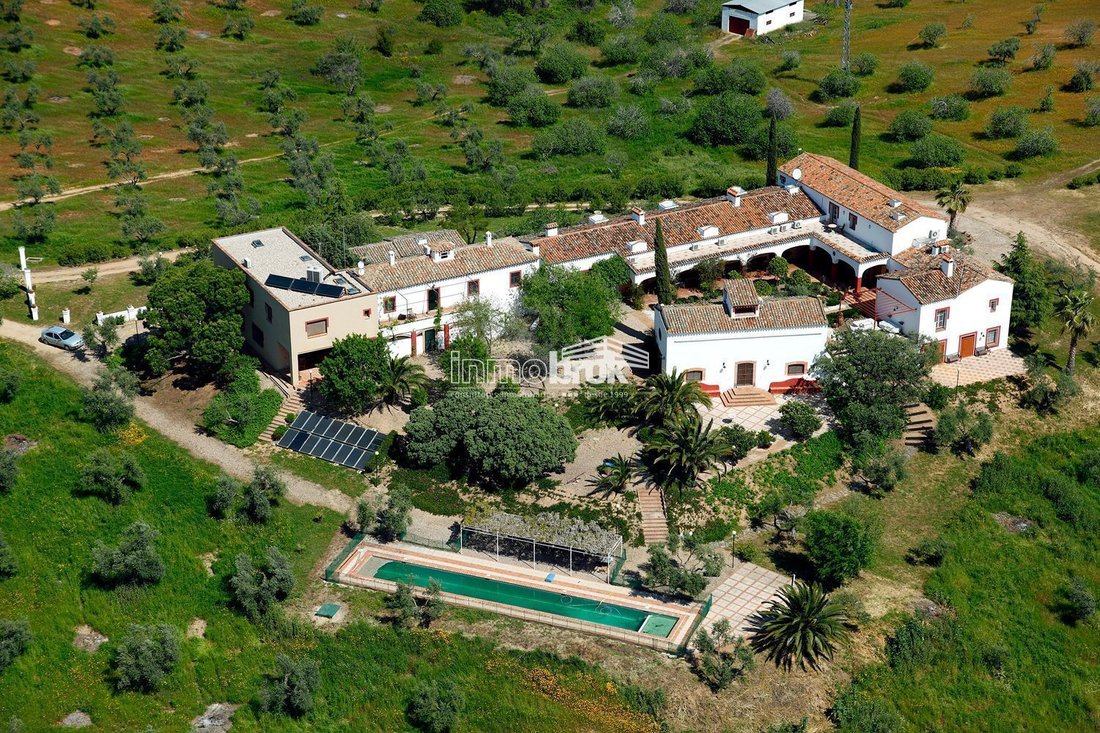 Finca in Calzada de Oropesa, Castile-La Mancha, Spain 2 - 18329758