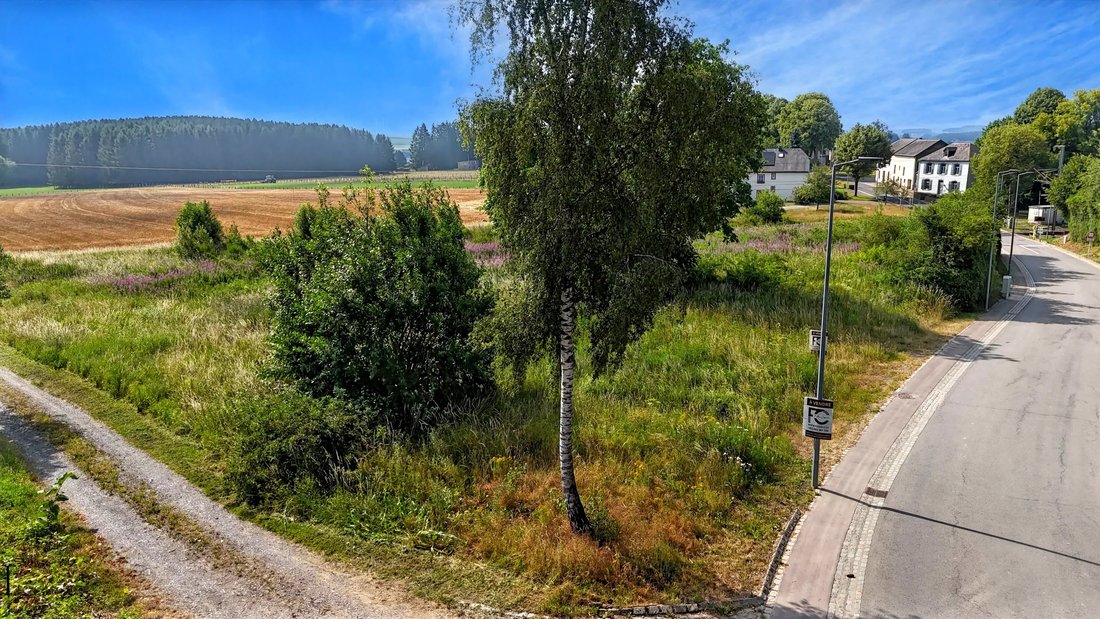 Land in Troisvierges, Clervaux, Luxembourg 4 - 18332004