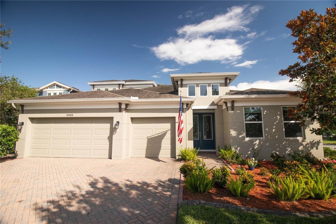 House in Land O' Lakes, Florida, United States 1 - 18330702