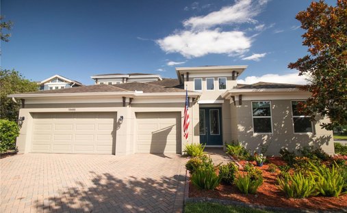 House in Land O' Lakes, Florida, United States 1