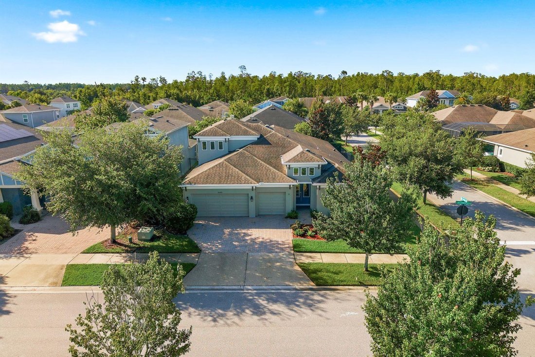 House in Land O' Lakes, Florida, United States 5 - 18330702