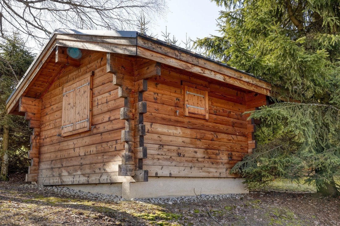 Apartment in Megève, Auvergne-Rhône-Alpes, France 4 - 17112720