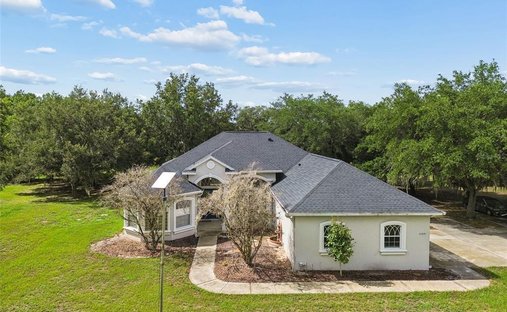 House in Zephyrhills, Florida, United States 1