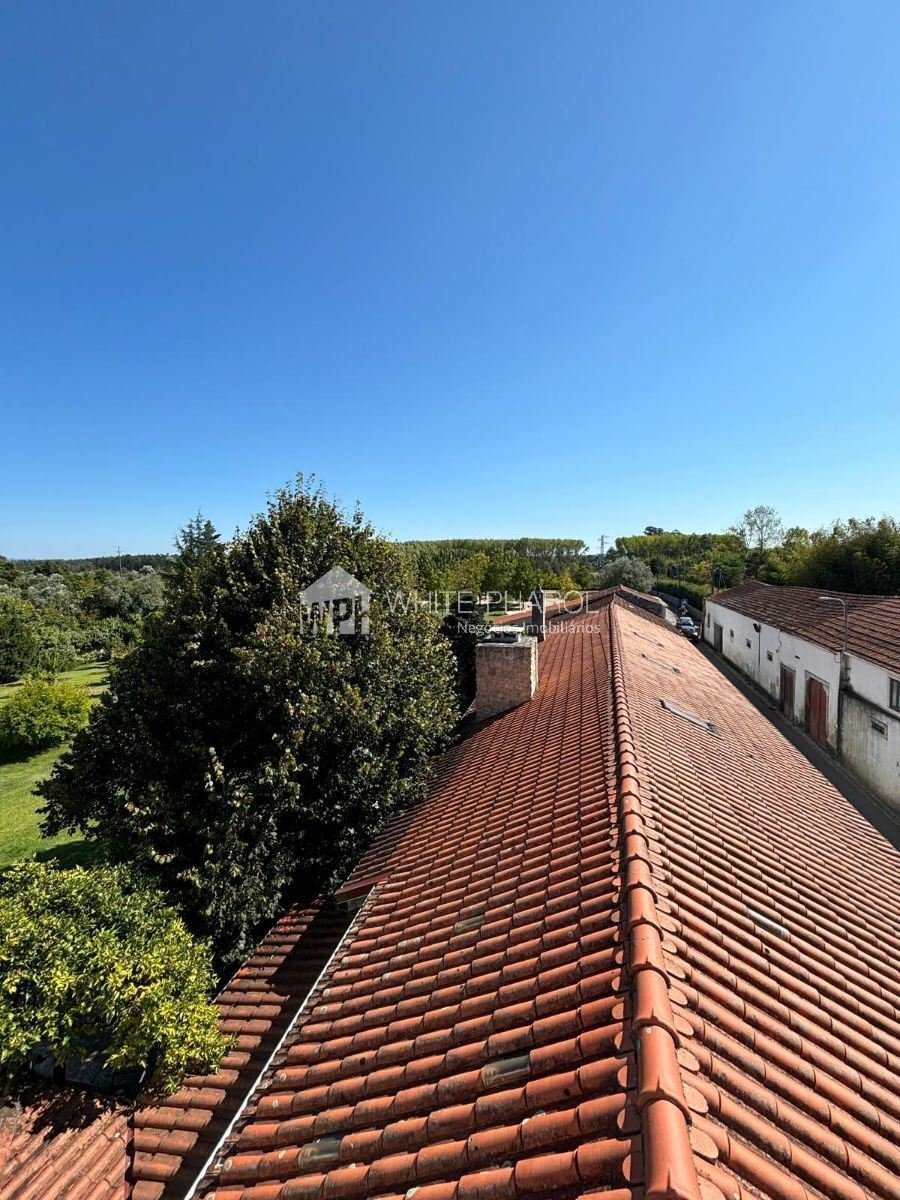 Farm Ranch in Cantanhede e Pocarica, Coimbra District, Portugal 4 - 18332996