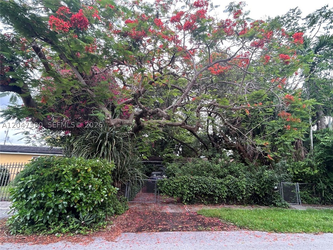 House in Miami, Florida, United States 1 - 18332838
