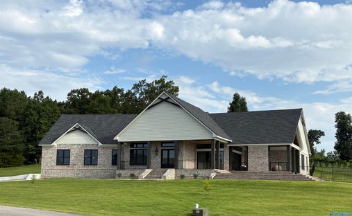 House in Guntersville, Alabama, United States 1