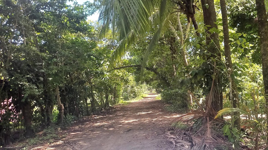 Land in Limones, Chiriquí Province, Panama 4 - 18332728
