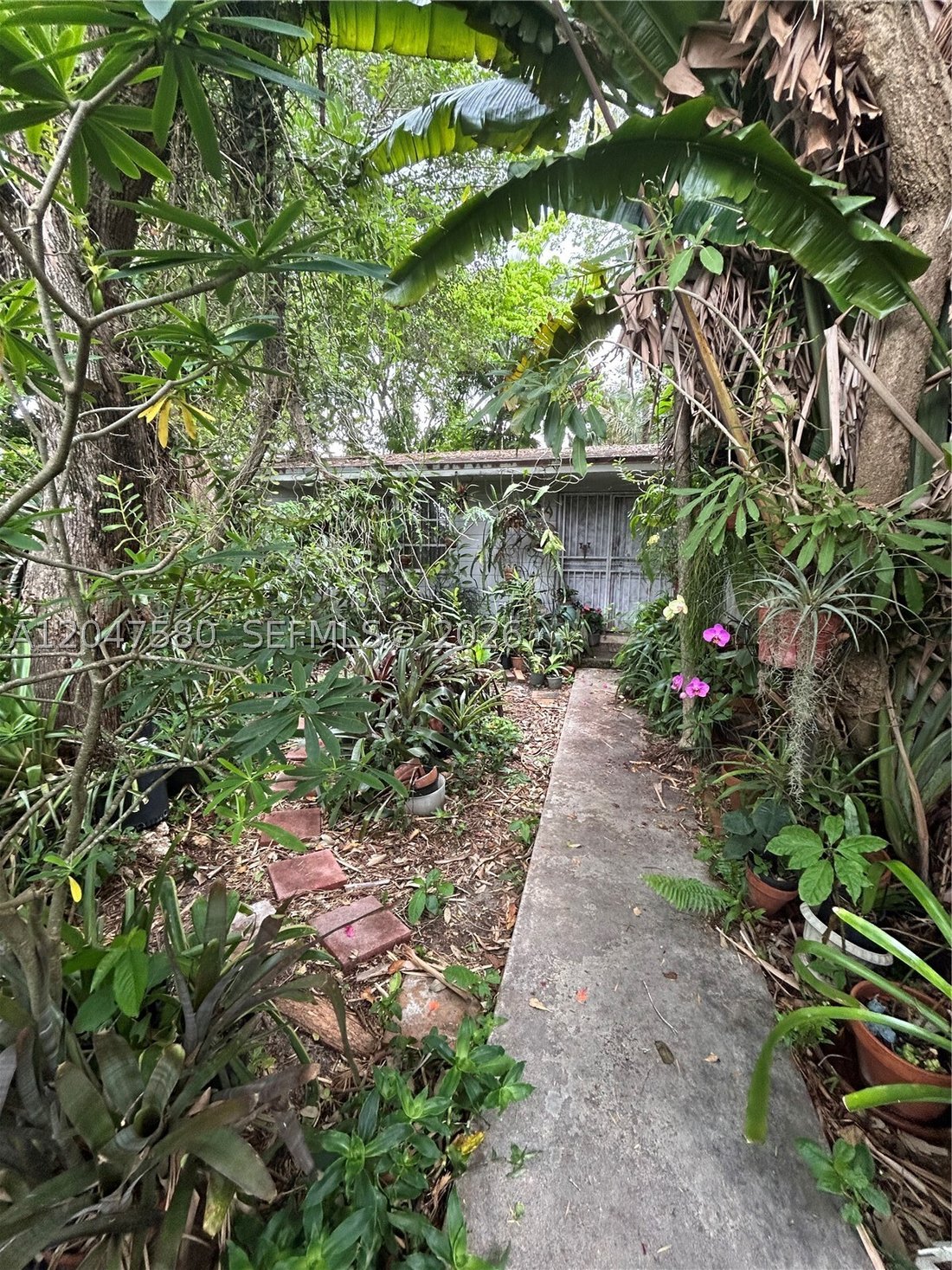 House in Miami, Florida, United States 5 - 18332838