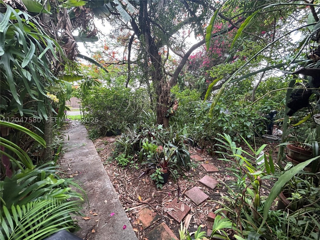 House in Miami, Florida, United States 3 - 18332838