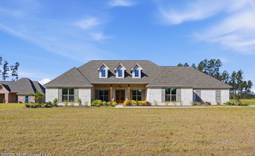Maison à Brandon, Mississippi, États-Unis 1
