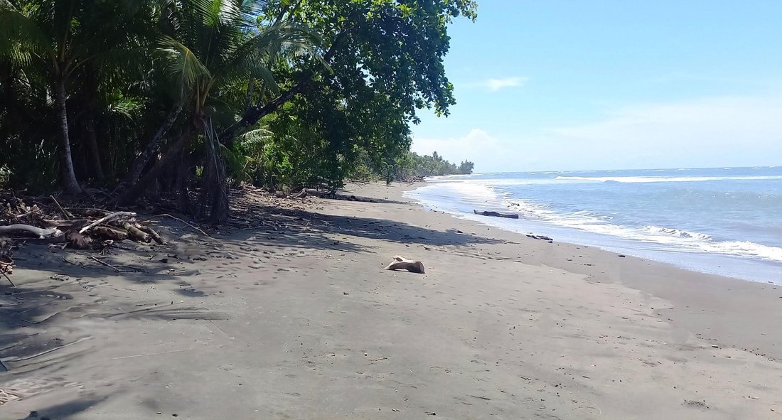 Land in Limones, Chiriquí Province, Panama 1 - 18332728