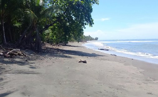 Land in Limones, Chiriquí Province, Panama 1