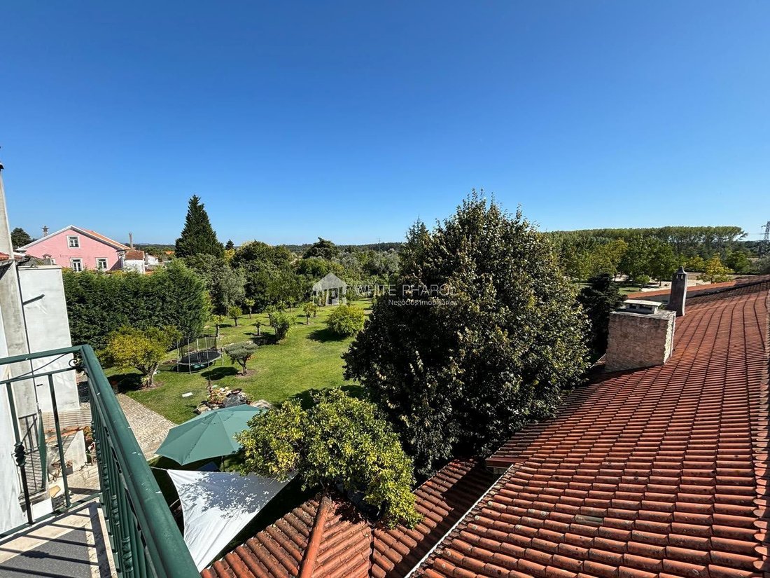 Farm Ranch in Cantanhede e Pocarica, Coimbra District, Portugal 5 - 18332996