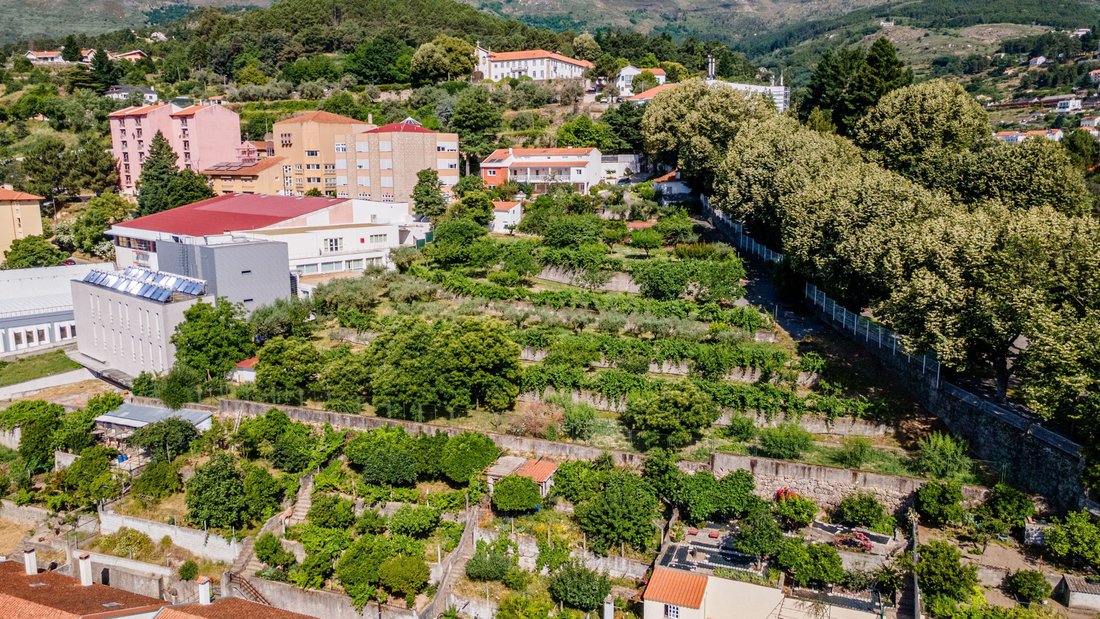 Farm Ranch in Covilha e Canhoso, Castelo Branco District, Portugal 3 - 18333745