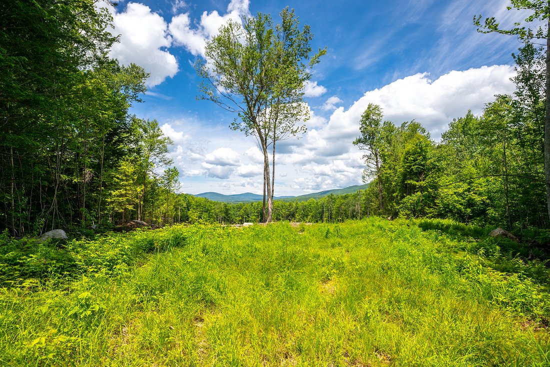 Land in Chester, Vermont, United States 1 - 18333663