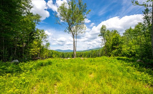 Land in Chester, Vermont, United States 1