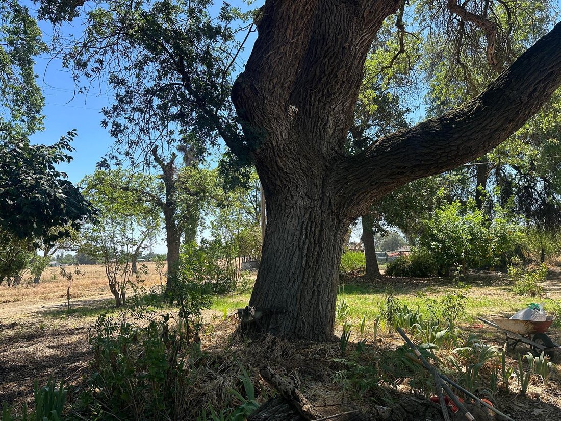 House in Laton, California, United States 2 - 18333297