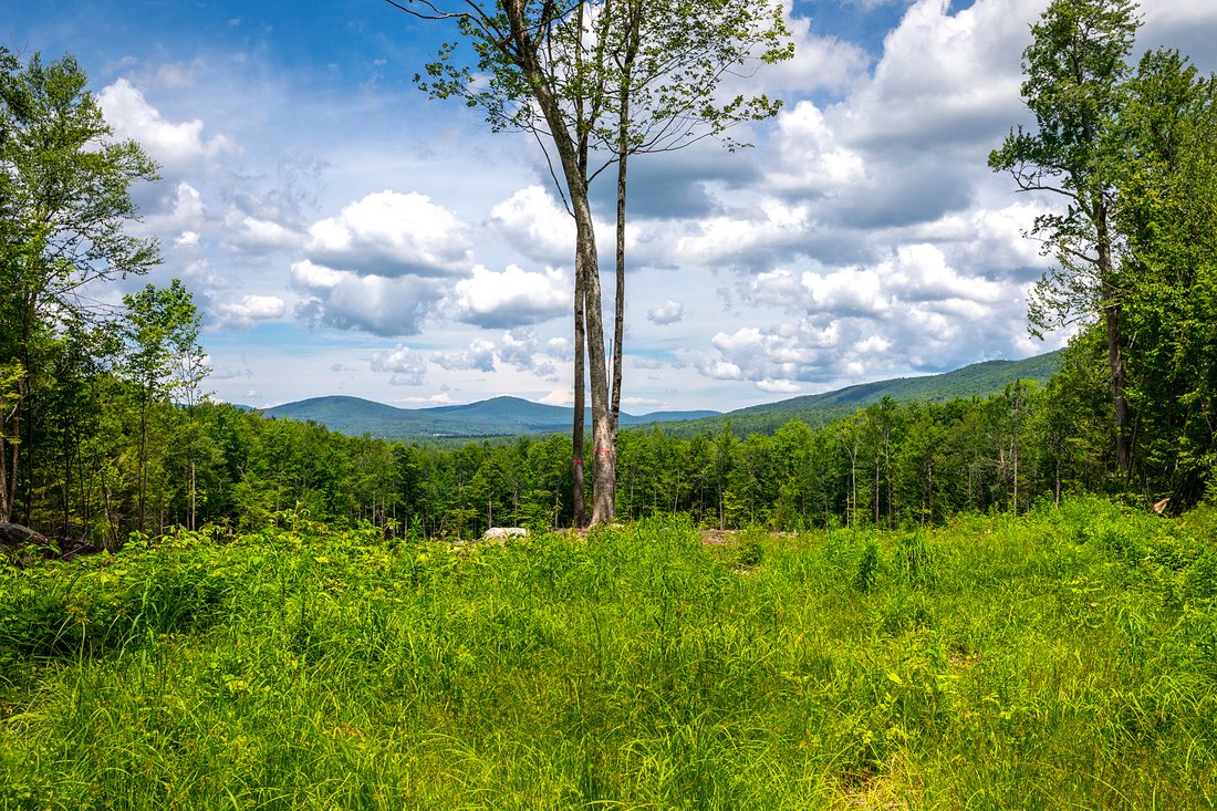 Land in Chester, Vermont, United States 2 - 18333663