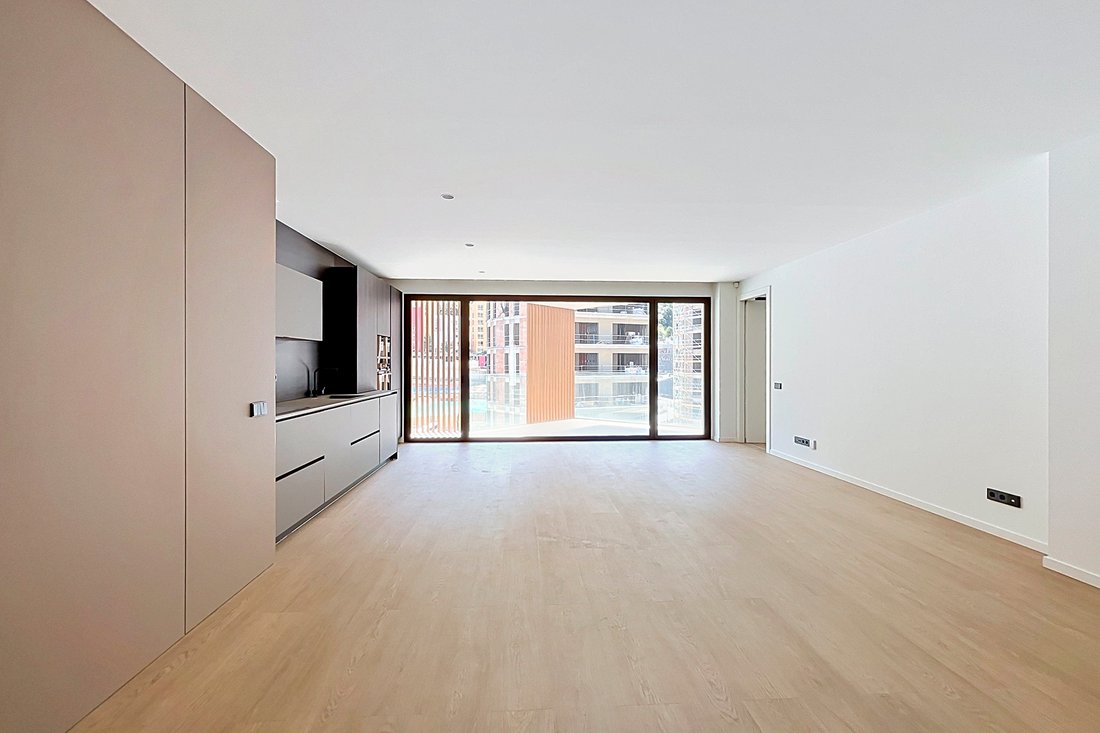 Apartment in Andorra la Vella, Andorra la Vella, Andorra 5 - 18333635