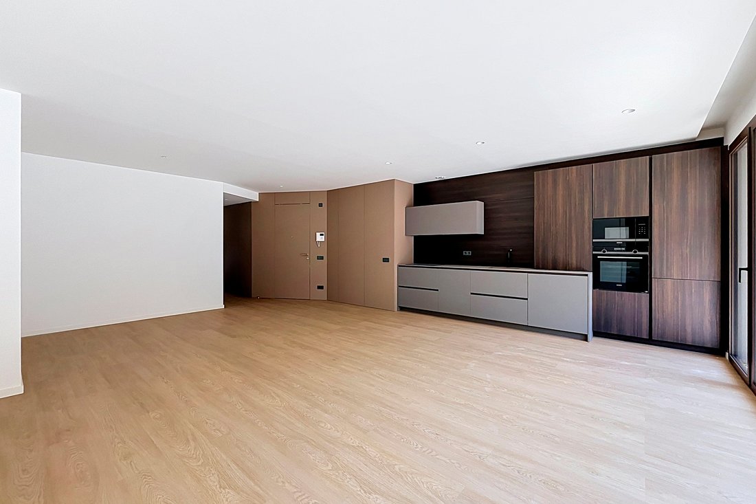Apartment in Andorra la Vella, Andorra la Vella, Andorra 3 - 18333635