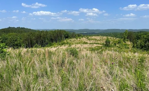 Azienda agricola a Athens, Tennessee, Stati Uniti 1