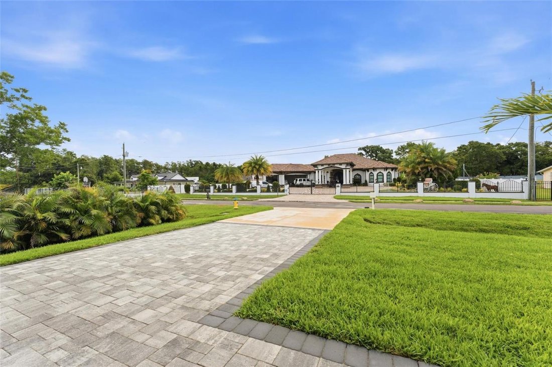 House in Tampa, Florida, United States 5 - 18333749