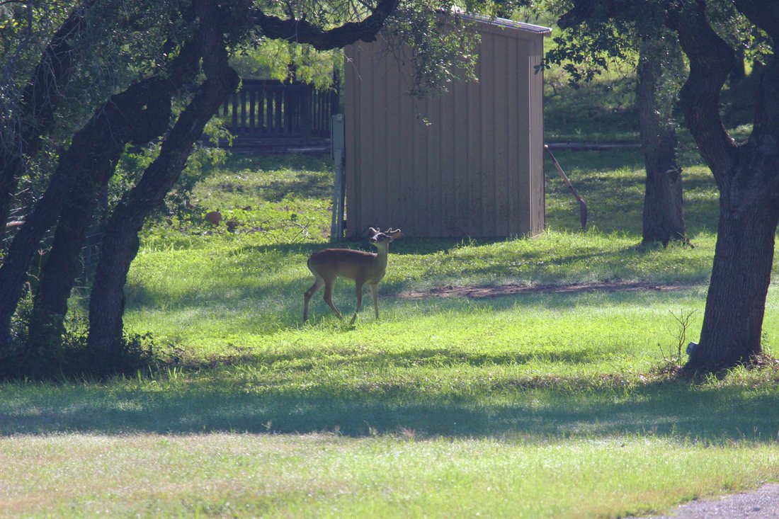 Farm Ranch in Concan, Texas, United States 4 - 18333667