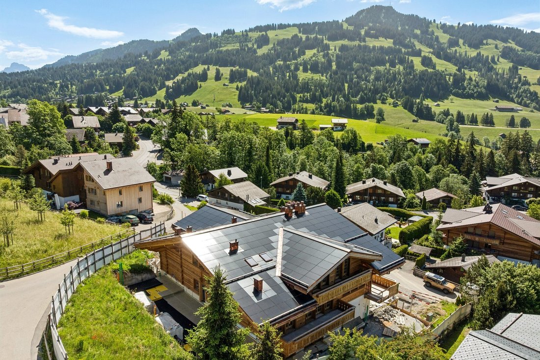 Apartment in Saanen, Canton of Bern, Switzerland 4 - 18333614