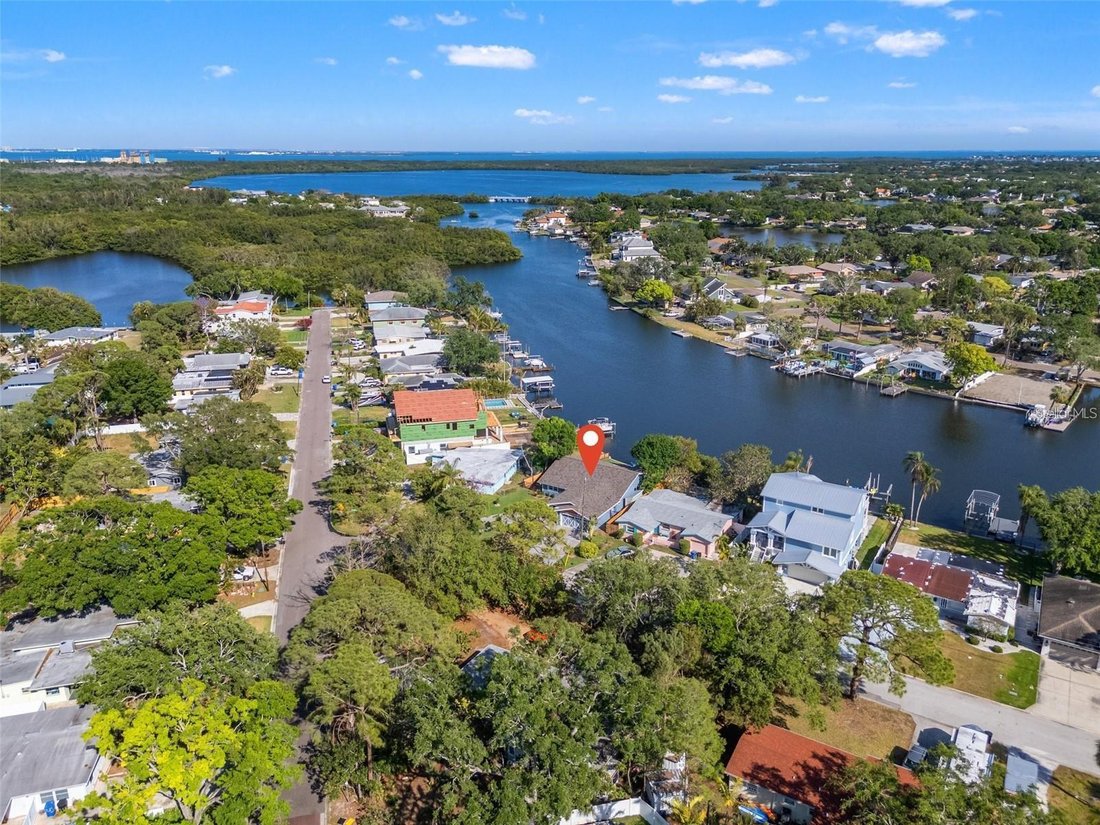 House in St. Petersburg, Florida, United States 3 - 18333287