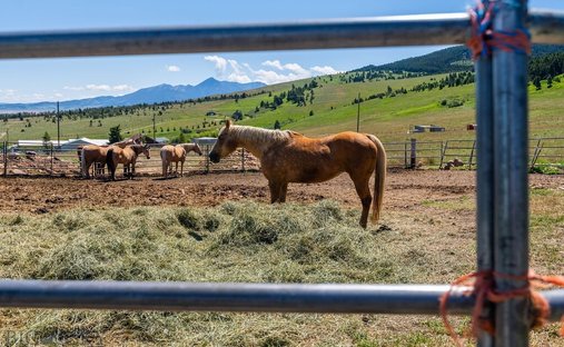 Casa a Livingston, Montana, Stati Uniti 1